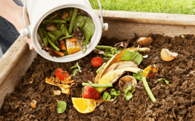 Composting in the Kitchen